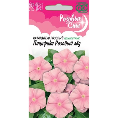 Катарантус Пацифика Розовый лед (Гавр)