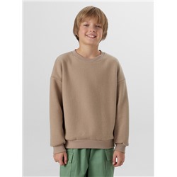 СВИТШОТ ДЛЯ МАЛЬЧИКОВ 123489