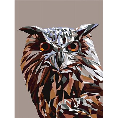 Картина по номерам 30х40 см "Геометрическая сова" живопись с красками и кистью на картоне PKZ/PM-036 ФРЕЯ
