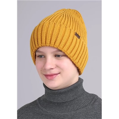 CLEVER Шапка 433854ак флис