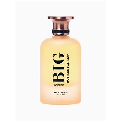 Парфюмерная вода мужская BIG BOTTLED FOR MAN INTENSE, 100 мл (мот HUGO BOSS Boss The Scent)