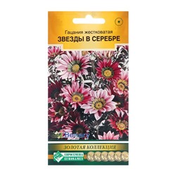 Семена цветов гацания жестковатая «Звезды в серебре», 5 шт.
