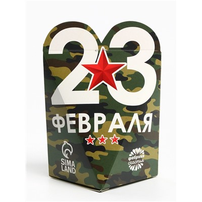 Чай подарочный «23 февраля», вкус: апельсин и корица, 50 г