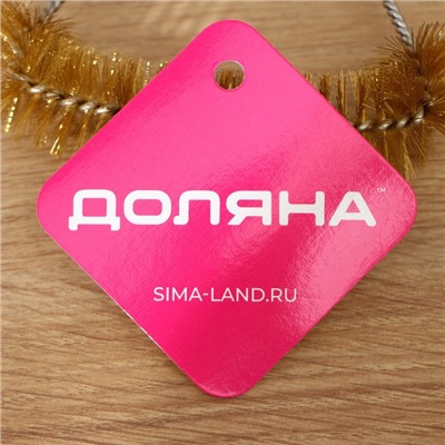Щётка для чистки посуды и решёток-гриль Доляна, 23.5×11 см, с металлической щетиной