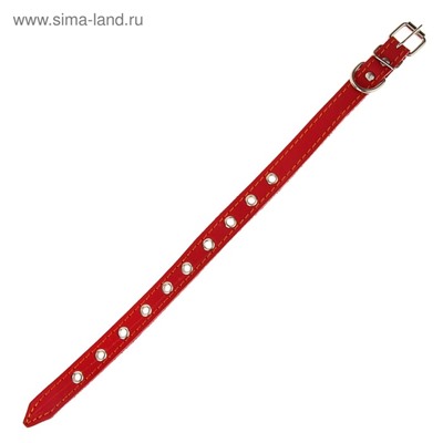 Ошейник кожаный однослойный безразмерный, 45×2 см, ОШ 18-39 см, красный
