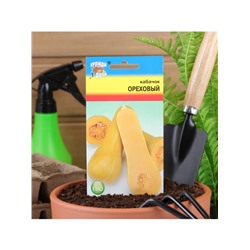 Набор семян Кабачок "ОРЕХОВЫЙ", 5 шт.