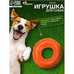 Жевательная игрушка дял собак «Кольцо», 6.7×2 см, прозрачная, PP, оранжевая