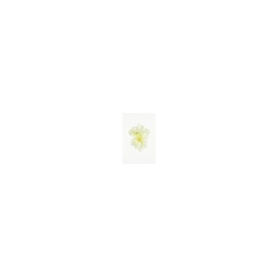 Искусственные цветы, Голова бутона розы кудрявая (d-50mm) для ветки, венка