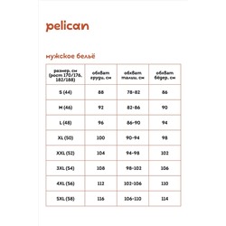 Трусы PELICAN, 963451