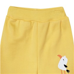 1345/6 Штанишки (птенчики)