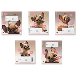 Тетрадь  18л клетка "Френч" УФ-лак 64834 ErichKrause