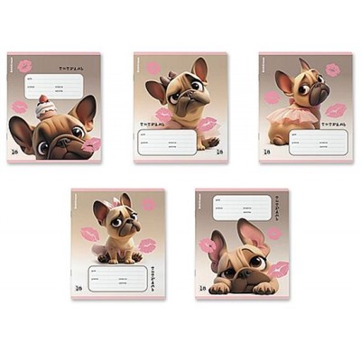 Тетрадь  18л клетка "Френч" УФ-лак 64834 ErichKrause