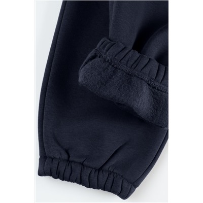 Мужские брюки из футера с начесом Happyfox