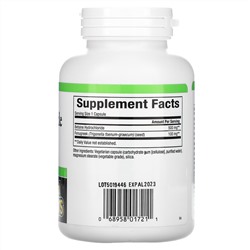 Natural Factors, бетаина гидрохлорид с пажитником, 500 мг, 180 вегетарианских капсул