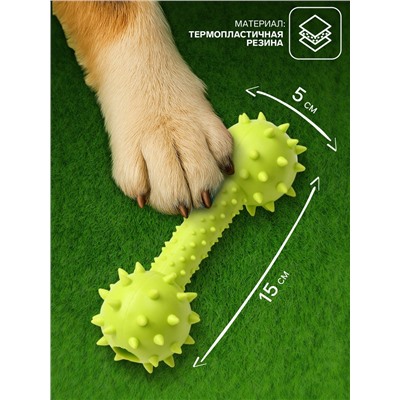 Жевательная игрушка для собак «Грозная гантель», 15×5 см, салатовая