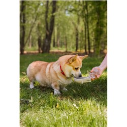 Поилка прогулочная, 300 мл, фигурная, с мягким носиком