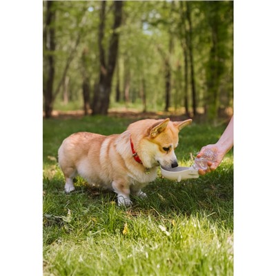 Поилка прогулочная, 300 мл, фигурная, с мягким носиком