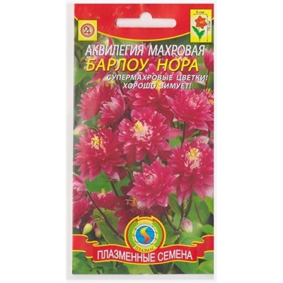 Аквилегия Барлоу Нора (Код: 75797)