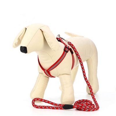 Шлейка с поводком «Плетенка», ОГ 32-48×1.5 с, поводок 115×1 см, флуоресцентная, красная