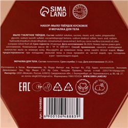 Новогодний подарочный набор косметики «Волшебные истории», мыло для рук кусковое 100 г и мочалка для тела, URAL LAB