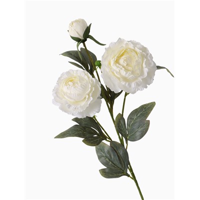 Цветы искусственные «Пион Эльза», h=64 см, d=10 см, белые