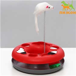 УЦЕНКА Игрушка для кошек «Загадочный круг - Рыбки», 23×7 см, красная/серая