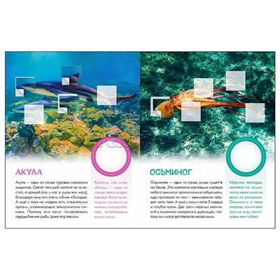 Мир животных с наклейками. Кто живёт под водой?