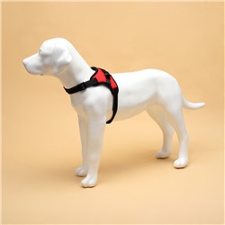 Шлейка К7, размер М, ОГ 52-66 см, вес 9.5-17.5 кг, мягкая, светоотражающая, красная