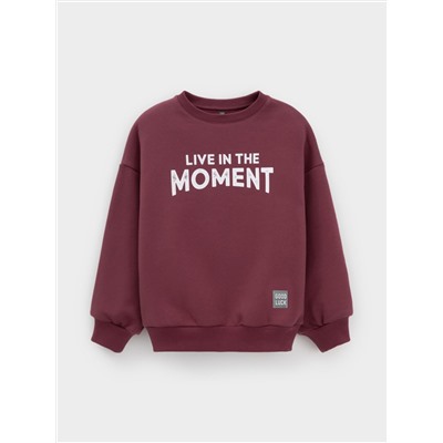 CROCKID Свитшот КР 302802