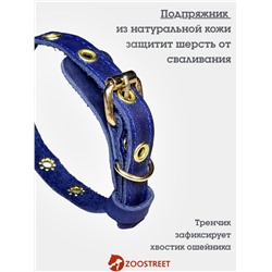 Ошейник, безразмерный, 35×1.5 см, с подпряжником, кожа, синий