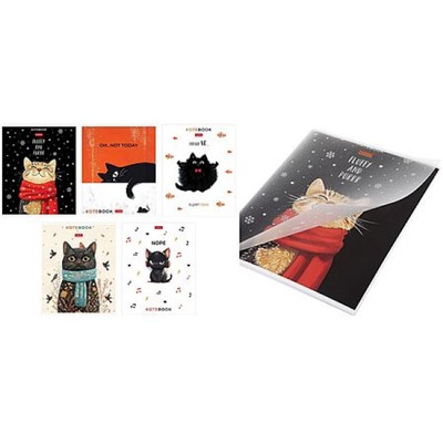 Тетрадь  48л линия с пластиковой обложкой "Котэ" титульный лист с цв. печатью (091627) Хатбер