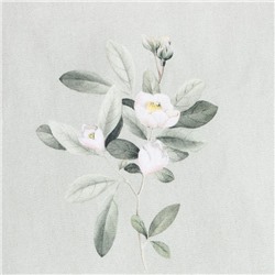 Покрывало 1.5-спальное «Этель» Jasmine, 150×215 см, 100% хлопок