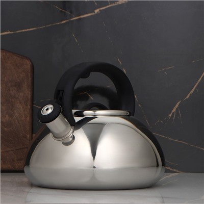 УЦЕНКА Чайник со свистком Доляна «Квант», 2.8 л, фиксированная ручка, цвет чёрный