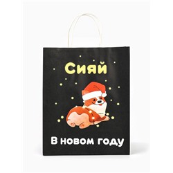 Пакет бумажный подарочный новогодний крафт «Сияй», 27×21×11 см