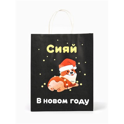 Пакет бумажный подарочный новогодний крафт «Сияй», 27×21×11 см