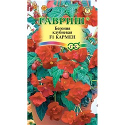 Бегония Кармен F1 (Гавр)