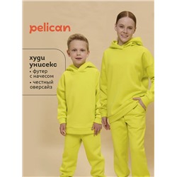 PELICAN Толстовка UFNK4323