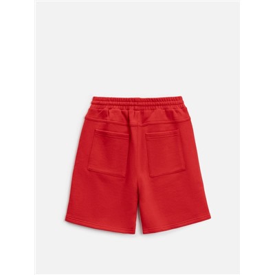 Acoola Шорты 20110420131