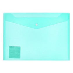 Папка с кнопкой  А4 120мкм Classic прозрачная, зеленая ЕС2111103 Expert Complete