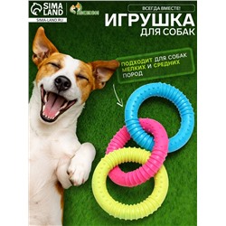 Игрушка жевательная «Всегда вместе!», TPR, 3 кольца по 8 см, сине/розово/жёлтая