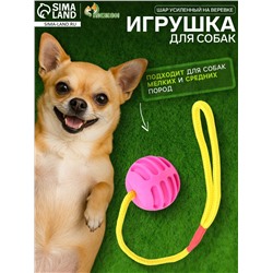 Игрушка «Шар усиленный на веревке», 43 см, шар 6 см, розовый