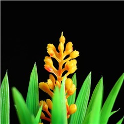 Островок с растениями искусственными для аквариума, 17×12×22 см