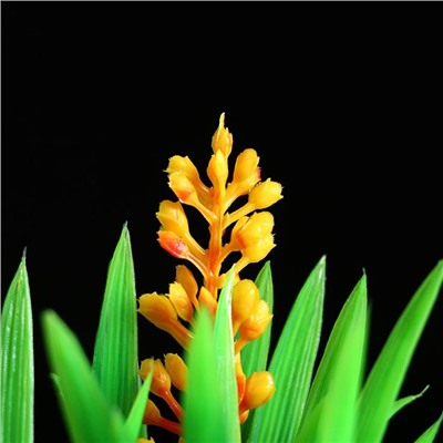 Островок с растениями искусственными для аквариума, 17×12×22 см