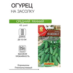 Семена Огурец "На засолку", F1, ц/п, 10 шт