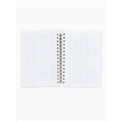 Записная книжка А6, 100 листов, в клетку My diary