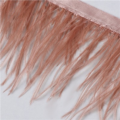 Перья страуса декоративные, на ленте, 8-10 см, 5±0.5 м, тёмно-бежевые