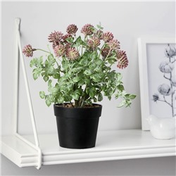 Искусственный цветок в горшке «Мордовник», 9×22 см, МИКС