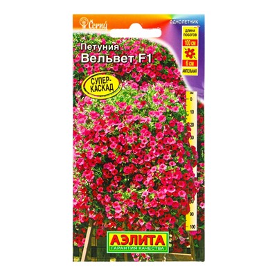 Семена цветов Петуния Вельвет F1 ампельная  (драже в пробирке) С. Cerny, Ц/П,4 шт.