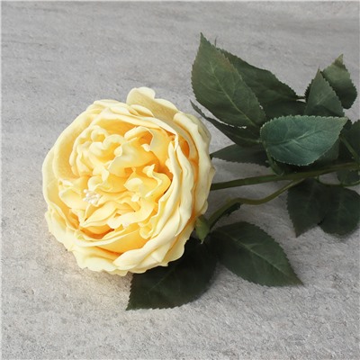 Цветок искусственный Пионовидная роза 59 см / GR-005 /уп 144/силикон