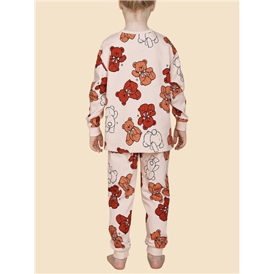 PELICAN Комплект WFANP3365U